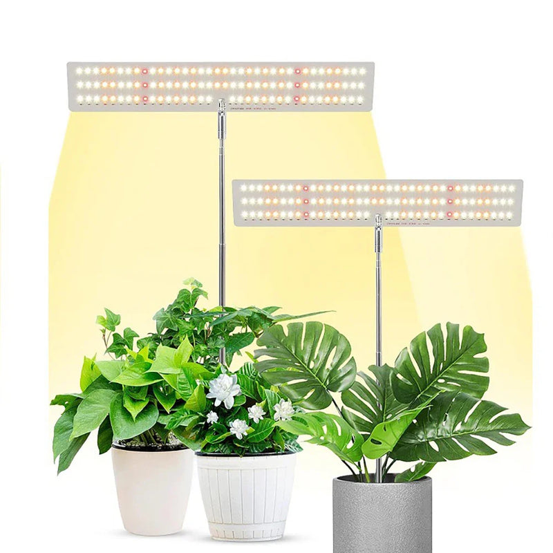 Axya LED Grow Light with 3 Timing Settings for Indoor Plant Growth