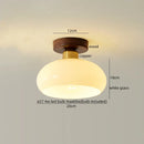 Axyaa Resin Walnut LED Ceiling Lamp: Modern Indoor Lighting for Home, Restaurant, Balcony