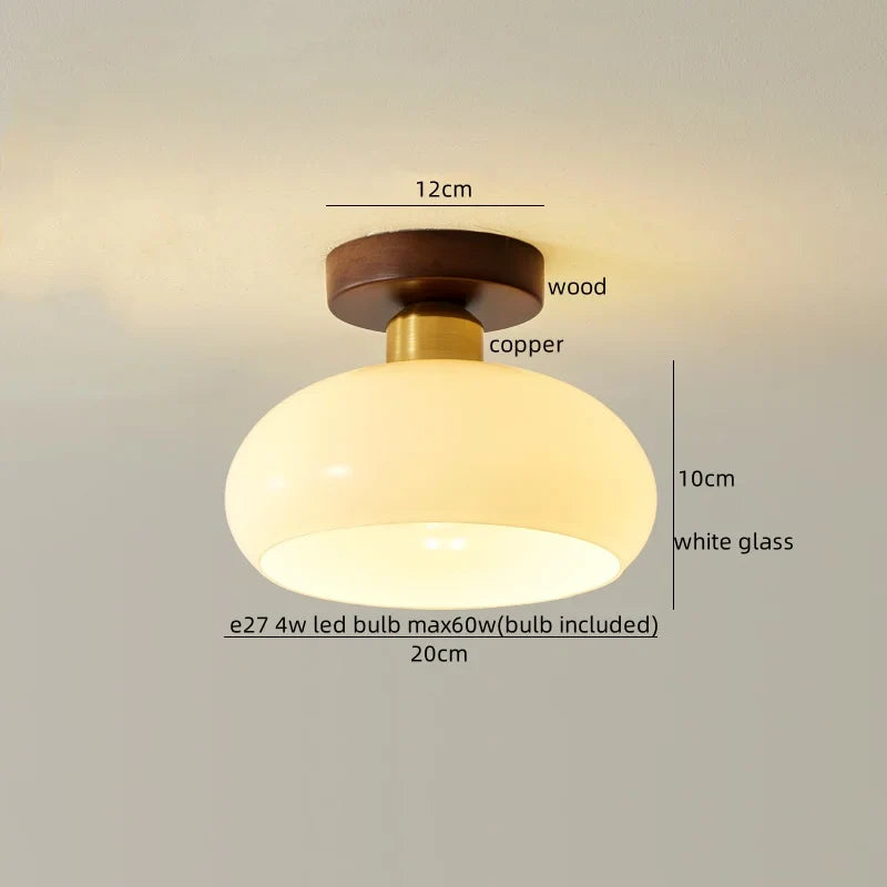Axyaa Copper Glass LED Ceiling Lamp - Modern Indoor Lighting Fixtures