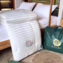 Axyaa Mulberry Silk Comforter Queen King Size Duvet Handmade Luxury Bedding