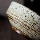 Axya Stoneware Japanese Dinner Set