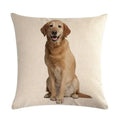 Axyaa Dog Cushion Covers Collection