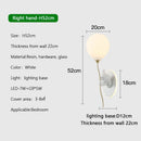 Axyaa Glass Balloon Bear Wall Lamps for Children's Room Lighting