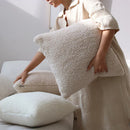 Axyaa Teddy Faux Fur Cushion Cover - Nordic Style Cozy Plush Pillowcase