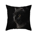 Axyaa Black Cat Pillowcases - Cute Kitty Design for Animal Lovers