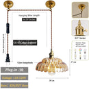 Axyaa Adjustable Glass Pendant Light with E27 Base for Living Room Bedroom Kitchen