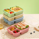 Axyaa Divided Lunch Box - Leak-proof & Microwave Safe - 3 Grids