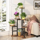 Axyaa 6 Tier Corner Plant Stand Indoor - Tall Flower Shelf Holder