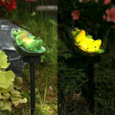 Axyaa Frog Resin Solar Outdoor Light for Garden Decor