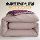 Axyaa Soybean Fiber Doudou Quilt Core, All Seasons Single Winter Quilt, Spring Autumn