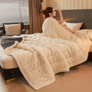 Axyaa Cozy Coral Fleece Blanket - Soft Fluffy Velvet Throw for Bed & Sofa