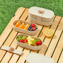 Axyaa Double Layer Lunch Box for Camping & Picnic - Sealed Bento Container