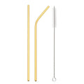 Axyaa Gold Stainless Steel Straw Set with Bag & Brush