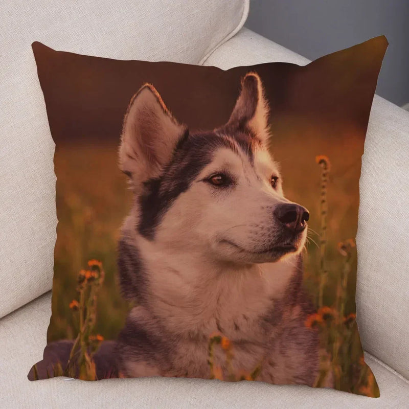 Axyaa Siberian Husky Pet Sofa Cushion Cover - Cute Dog Print Pillowcase Decor
