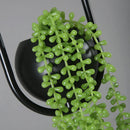 Axyaa Nordic Led Plant Pendant Lights Hanging Lamp for Home Decor