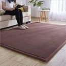 Axyaa Coral Fleece Tatami Floor Mat for Soft Bedroom Living Room Rugs