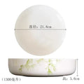 Axyaa Steamed Egg Bowls Set of 2, Microwave Safe Deep Plate Salad Bowls