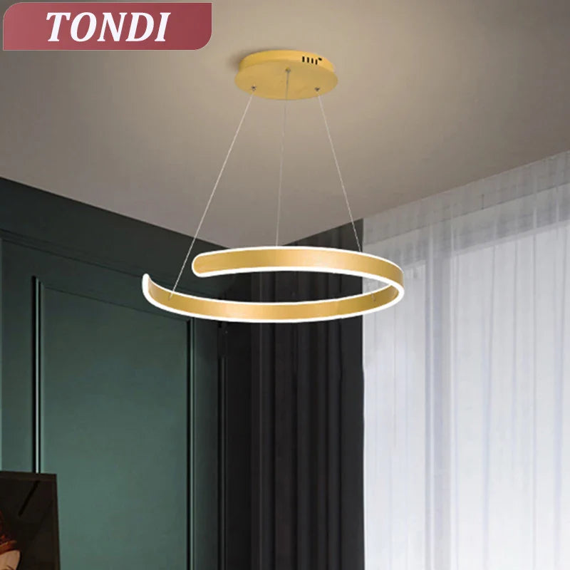 Round LED Pendant Light for Modern Home Decor by Axyaa