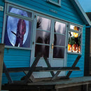 Axyaa Holiday Window Projector with 12 Movies and Tripod, Mini Outdoor Christmas Decor