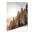 Nordic Winter Forest Wood Wall Art Print by Axyaa