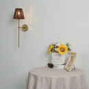 Axyaa Geometric Rattan Wall Lamp Shade for Home Restaurant Decor