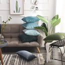 Axyaa Nordic Velvet Throw Pillow Cover for Cozy Home Decor