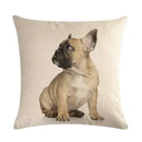 Axyaa Dog Cushion Covers Collection