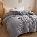 Axyaa Double-Sided Milk Fleece Winter Quilt Core - Thickened & Warm