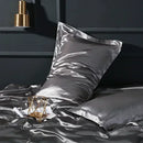 Axyaa Silk Pillowcase: Luxuriously Soft Skin-Friendly Pillow Cover
