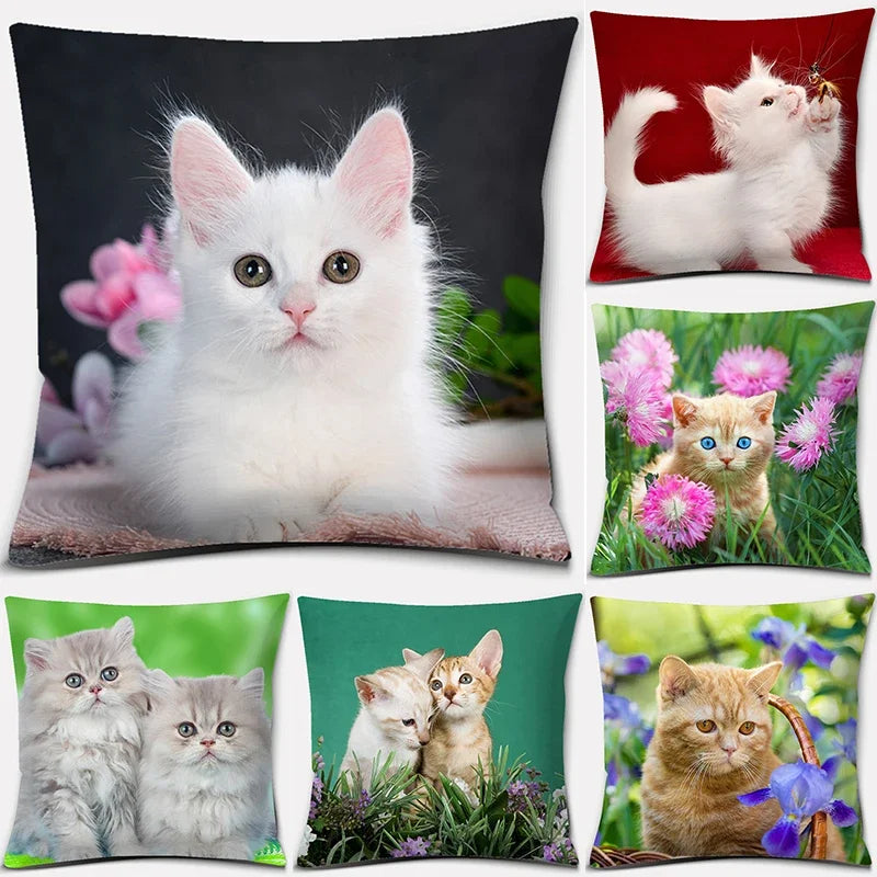 Cute Cat Series Pillowcase for Home Decor by Axyaa