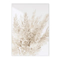 Axyaa Beige Bunny Tail Grass Pampas Reed Wall Art Print & Decor