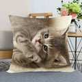 Axyaa Pet Cat Bed Pillowcase - Cute Animal Printed Cushion Cover