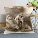 Axyaa Pet Cat Bed Pillowcase - Cute Animal Printed Cushion Cover