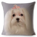 Maltese Dog Pillow Cover by Axyaa - Decorative Cushion Case for Home and Car