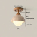 Axyaa Nordic LED Ceiling Light Stone Wood Ball Luxury Ceiling Lamp