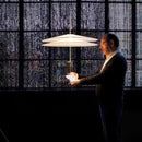 Axyaa Flamingo LED Chandelier Pendant Light for Modern Spaces