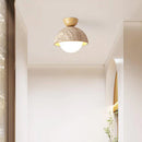 Axyaa Scandinavian Apartment Ceiling Light LED Lamps