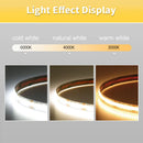 Axyaa COB LED Strip Light 8mm 320 LEDs/M High Density Dimmable for Room Decor