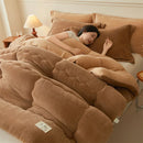 Axyaa Milk Velvet Winter Warm Bed Blanket Queen Size Soft Flannel Quilt Plush Comforter