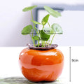 Axyaa Ceramic Persimmon Fruit Flower Pot for Home Decor