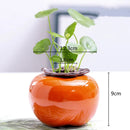 Axyaa Ceramic Persimmon Fruit Flower Pot for Home Decor