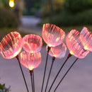 Axyaa Solar Jellyfish RGB Outdoor Light for Garden Decoration