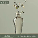 Axyaa Transparent Glass Zen Vase for Living Room Decor and Hydroponic Plants