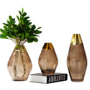 Axyaa Transparent Glass Vase Flower Arrangement Home Decor Accessory