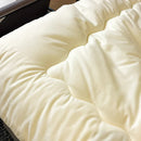 Axyaa Soft Fluffy Queen Size Comforter Duvet Insert, Thickened Warm Quilt for Autumn/Winter