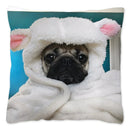 Axyaa Influencer Pug Cushion Cover - Funny Dog Home Decor Pillow Case