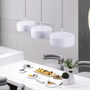 Axyaa Modern Bedroom LED Ceiling Chandelier - Decorative Dining Room Pendant Light