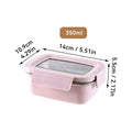 Axyaa Stainless Steel Divided Bento Lunch Box - Large Capacity & Portable