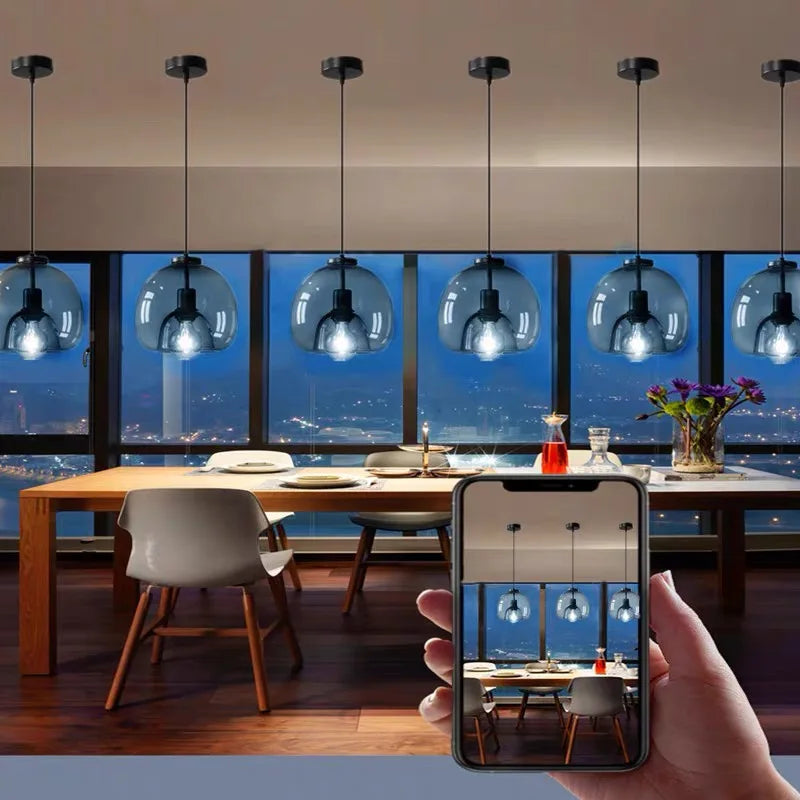 Axyaa Smoke Gray Glass Pendant Lights, Nordic LED Industrial Hanging Lamp