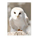 Nordic Forest House Canvas Wall Art by Axyaa - Winter Snow Fox Owl Deer Print